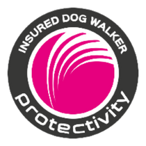 Insured Dog Walker