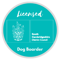 Licensed Dog Boarder